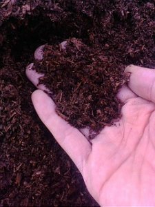 画像2: 近江牛、牛糞堆肥、４０Ｌ (2)