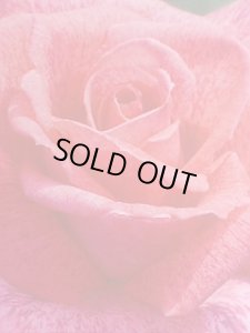 画像4: ピエール　カルダン【pierre Cardin】 (4)