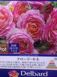 画像2: クロード　モネ (2)