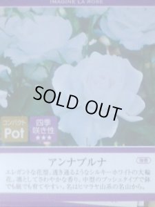 画像3: アンナプルナ (3)