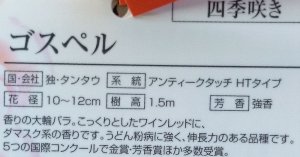 画像2: ゴスペル (2)