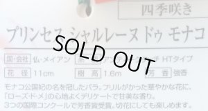 画像2: プリンセス シャルレーヌ ドゥ モナコ (2)