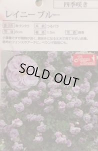 画像2: レイニーブルー (2)