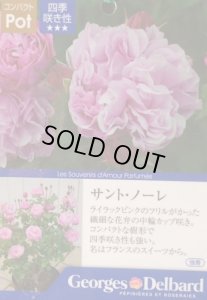 画像3: サント ノーレ (3)