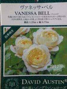 画像3: ヴァネッサベル (3)