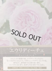 画像3: エウリディーチェ (3)