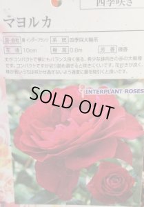 画像3: マヨルカ【Mallorca】 (3)