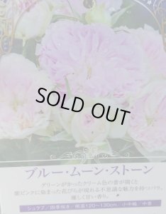 画像2: ブルー　ムーン　ストーン (2)