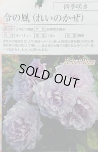 画像2: 令の風【れいのかぜ】 (2)
