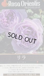 画像2: リラ (2)