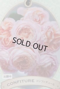 画像3: コンフィチュール (3)