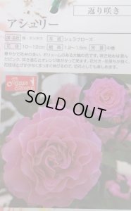 画像2: アシュリー【Ashley】 (2)