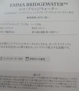 画像3: エマ　ブリッジウォーター【Emma Bridgewater】 (3)