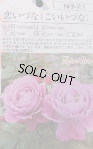 画像2: 恋いづな【こいいづな】 (2)