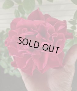 画像2: マヨルカ【Mallorca】 (2)